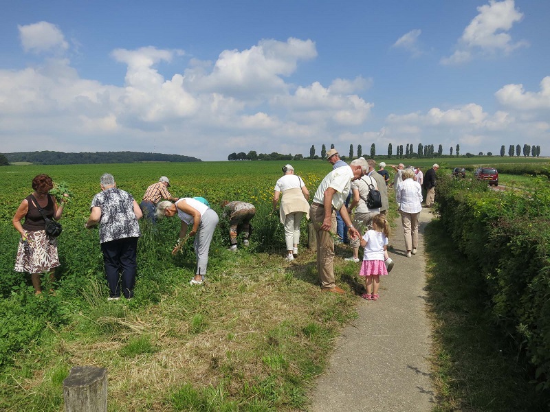 Zaterdag 14 en zondag 15 augustus