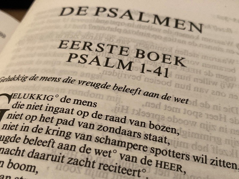 Zaterdag 17 februari t/m zaterdag 20 april